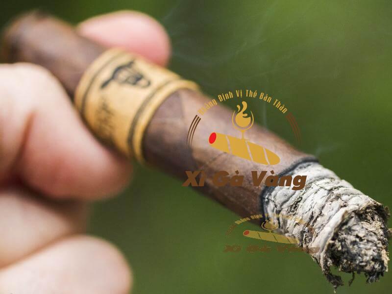 Trải nghiệm hương vị của Leaf by Oscar